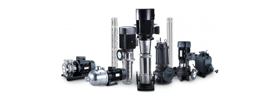 Ассортимент товаров CNP на нашем сайте