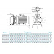 Консольно-моноблочный насос CNP ZS 100-80-160/15 SSC